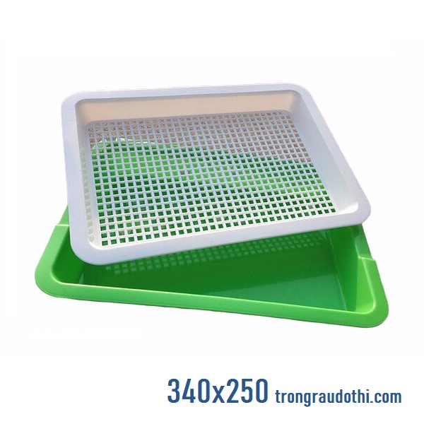 Khay trồng rau mầm 2 đáy chuyên dụng giá tốt kích thước 34x25cm - Ảnh 1